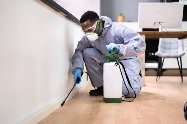 Best Residential Pest Control  in Kentwood, LA